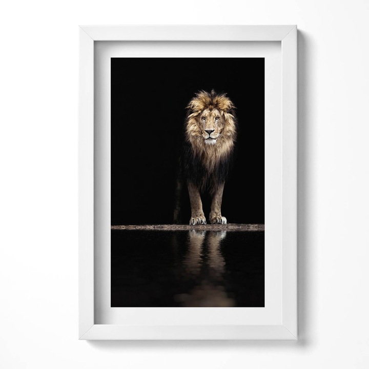 Tablou Inramat, Wallfluent, Leu animal salbatic singuratic, Rama alba, 40x60 cm, 010330010080100279893