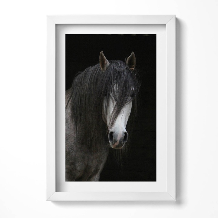 Tablou Inramat, Wallfluent, Capul unui cal gri, Rama alba, 40x60 cm, 010330010080100281265