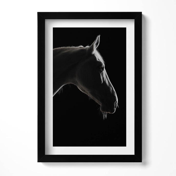 Tablou Inramat, Wallfluent, Cap de cal pe un fundal negru, Rama negru, 20x30 cm, 010330010010200280000