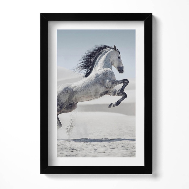 Tablou Inramat, Wallfluent, Cal alb in galop, Rama negru, 20x30 cm, 010330010010200280232