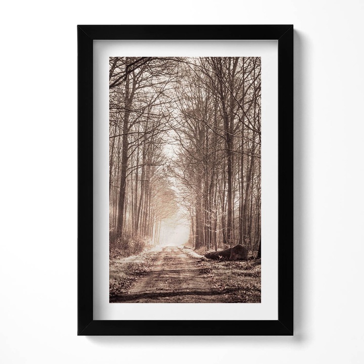Tablou Inramat, Wallfluent, Calea padurii in culori sepia, Rama negru, 20x30 cm, 010330010010200280170