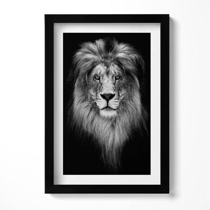 Tablou Inramat, Wallfluent, Cap de leu de pisica salbatica, Rama negru, 20x30 cm, 010330010010200280529