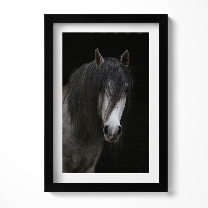 Tablou Inramat, Wallfluent, Capul unui cal gri, Rama negru, 20x30 cm, 010330010010200281265