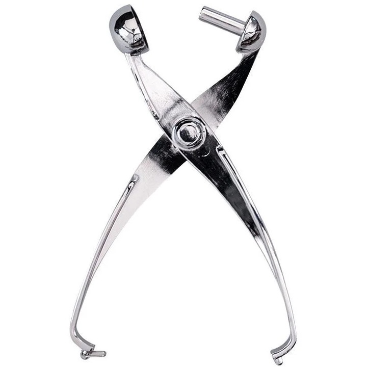 Curatator de legume si fructe, ESTIA, Ergaleio Aphaireses Koukoutsion, inox, pentru masline si cirese
