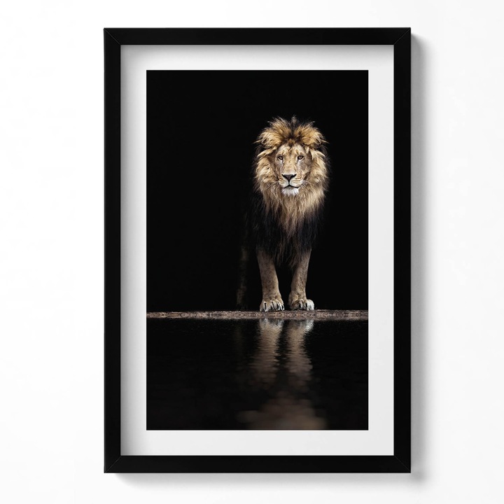 Tablou Inramat, Wallfluent, Leu animal salbatic singuratic, Rama negru, 40x60 cm, 010330010080200279893