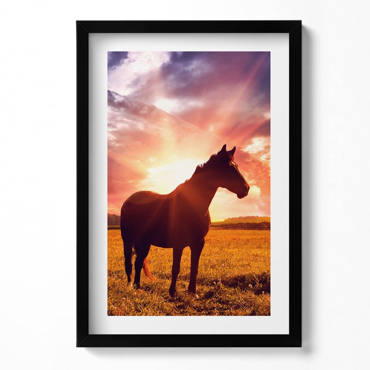 Tablou Inramat, Wallfluent, Cal in camp la apus, Rama negru, 40x60 cm, 010330010080200280002