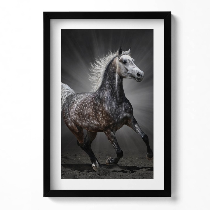 Tablou Inramat, Wallfluent, Cal in galop, Rama negru, 40x60 cm, 010330010080200280197