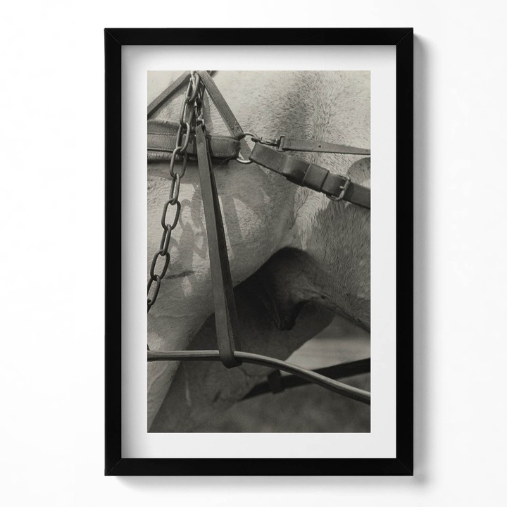 Tablou Inramat, Wallfluent, Prim-plan al hamului unui cal, Rama negru, 40x60 cm, 010330010080200281156