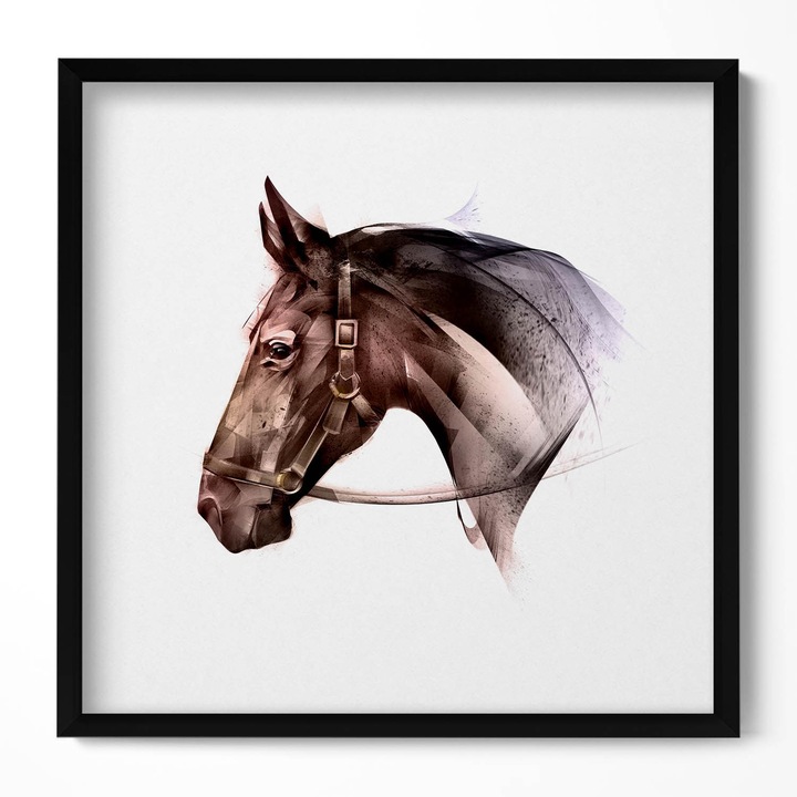 Tablou Inramat, Wallfluent, Profil de cal pictat, Rama negru, 50x50 cm, 010330010140100280119