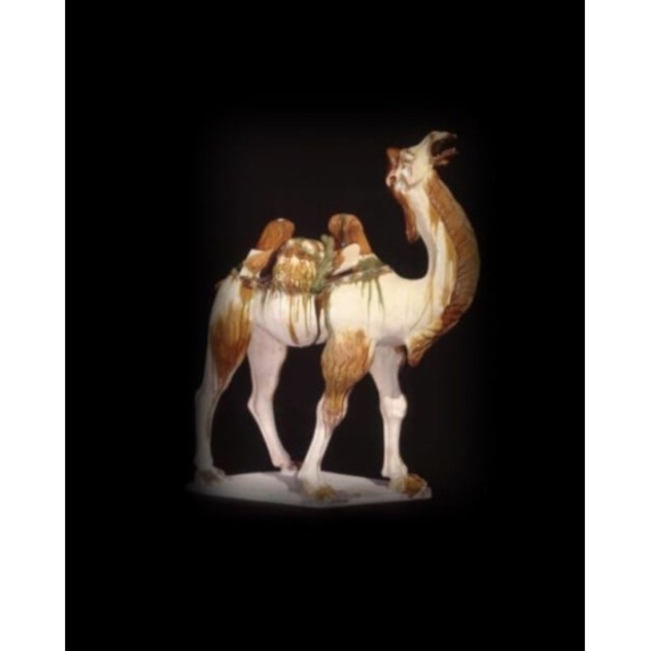 Silk Roads - Sue, yu-ping Brunning - Sueyu-ping Brunning