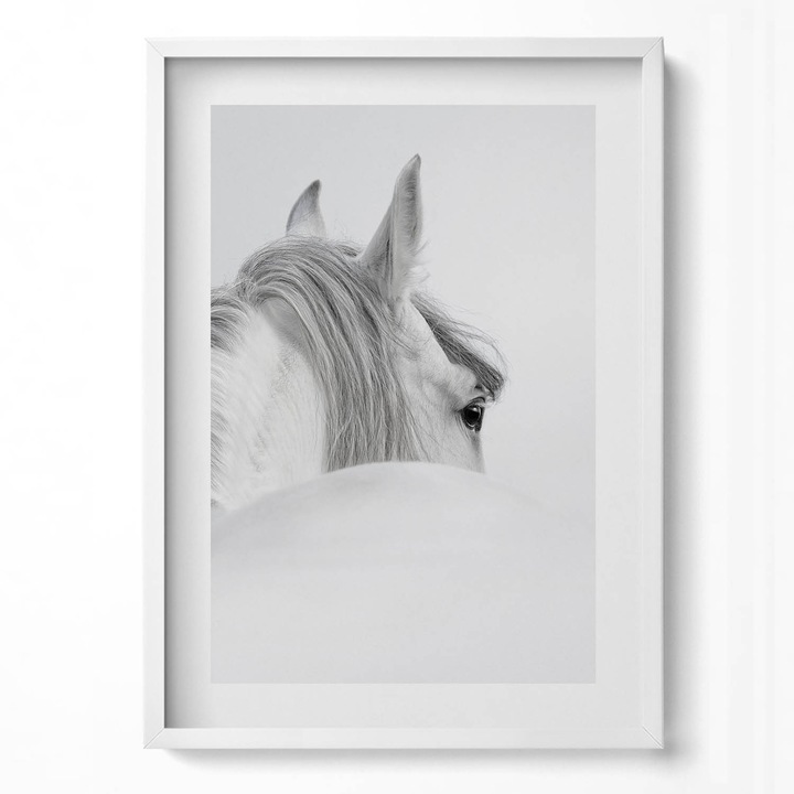 Tablou Inramat, Wallfluent, Cal andaluz in ceata, Rama alba, 50x70 cm, 010330010160100280231