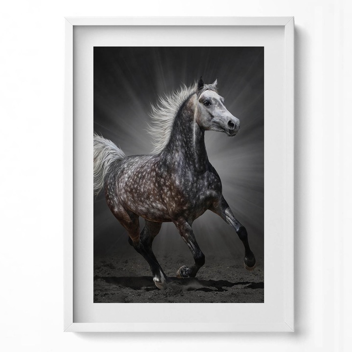 Tablou Inramat, Wallfluent, Cal in galop, Rama alba, 50x70 cm, 010330010160100280197