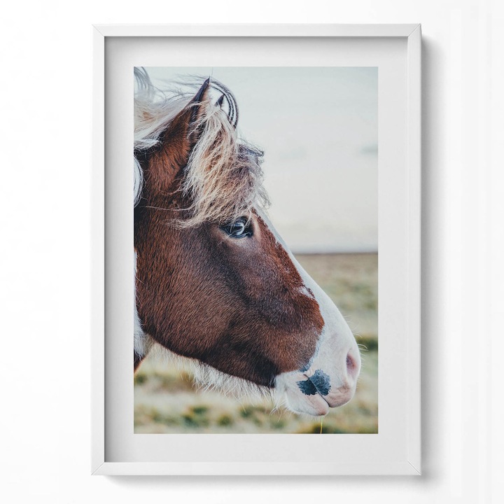 Tablou Inramat, Wallfluent, Prim-plan al unui cal maro cu coama, Rama alba, 50x70 cm, 010330010160100281130