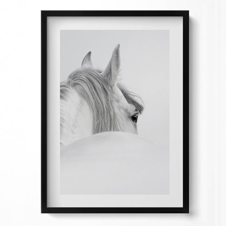 Tablou Inramat, Wallfluent, Cal andaluz in ceata, Rama negru, 50x70 cm, 010330010160200280231