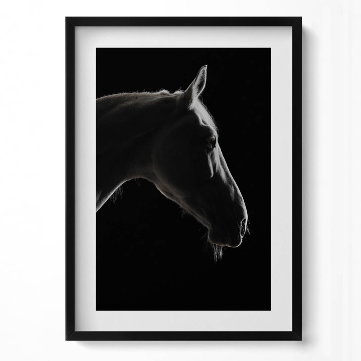 Tablou Inramat, Wallfluent, Cap de cal pe un fundal negru, Rama negru, 50x70 cm, 010330010160200280000