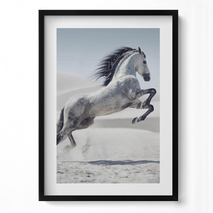 Tablou Inramat, Wallfluent, Cal alb in galop, Rama negru, 50x70 cm, 010330010160200280232