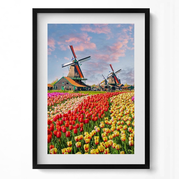 Tablou Inramat, Wallfluent, Peisaj cu lalele Olanda, Rama negru, 50x70 cm, 010330010160200280382