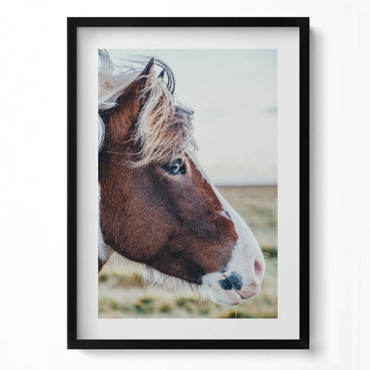 Tablou Inramat, Wallfluent, Prim-plan al unui cal maro cu coama, Rama negru, 50x70 cm, 010330010160200281130