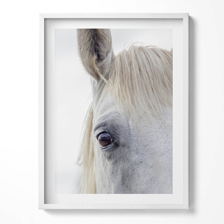 Tablou Inramat, Wallfluent, Capul unui cal alb, Rama alba, 60x80 cm, 010330010090100281266