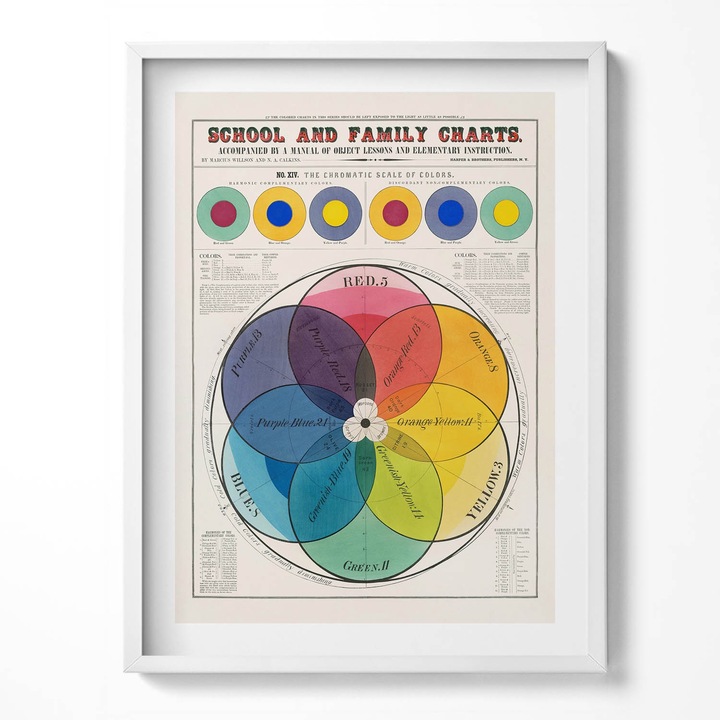 Tablou Inramat, Wallfluent, Poster vintage cu teoria culorilor, Rama alba, 60x80 cm, 010330010090100281308