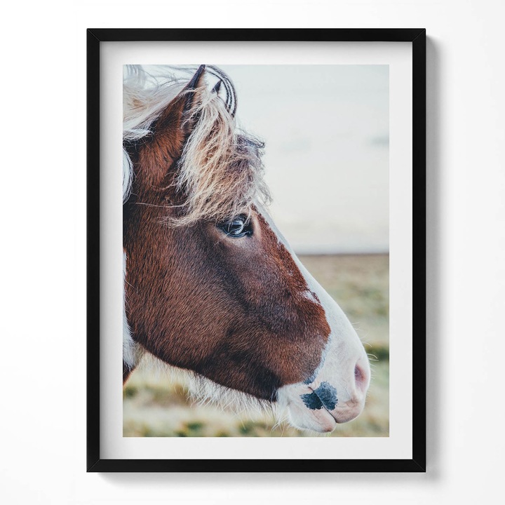Tablou Inramat, Wallfluent, Prim-plan al unui cal maro cu coama, Rama negru, 60x80 cm, 010330010090200281130
