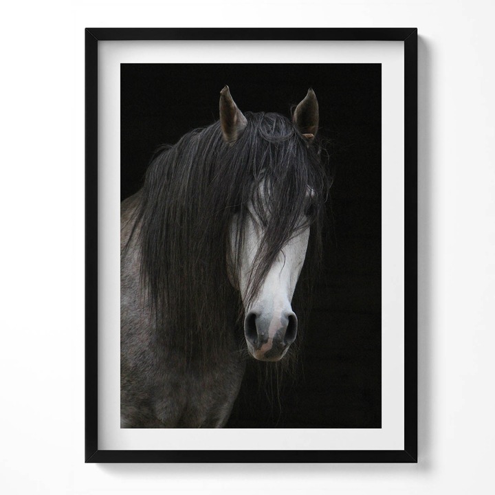 Tablou Inramat, Wallfluent, Capul unui cal gri, Rama negru, 60x80 cm, 010330010090200281265
