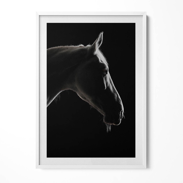 Tablou Inramat, Wallfluent, Cap de cal pe un fundal negru, Rama alba, 70x100 cm, 010330010150100280000