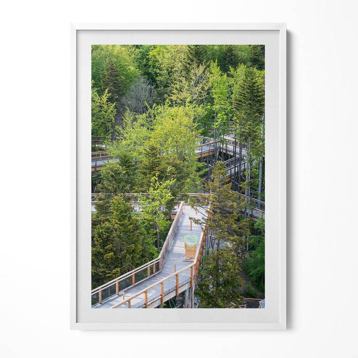 Tablou Inramat, Wallfluent, Calea in Krynica Zdrój, Rama alba, 70x100 cm, 010330010150100280311