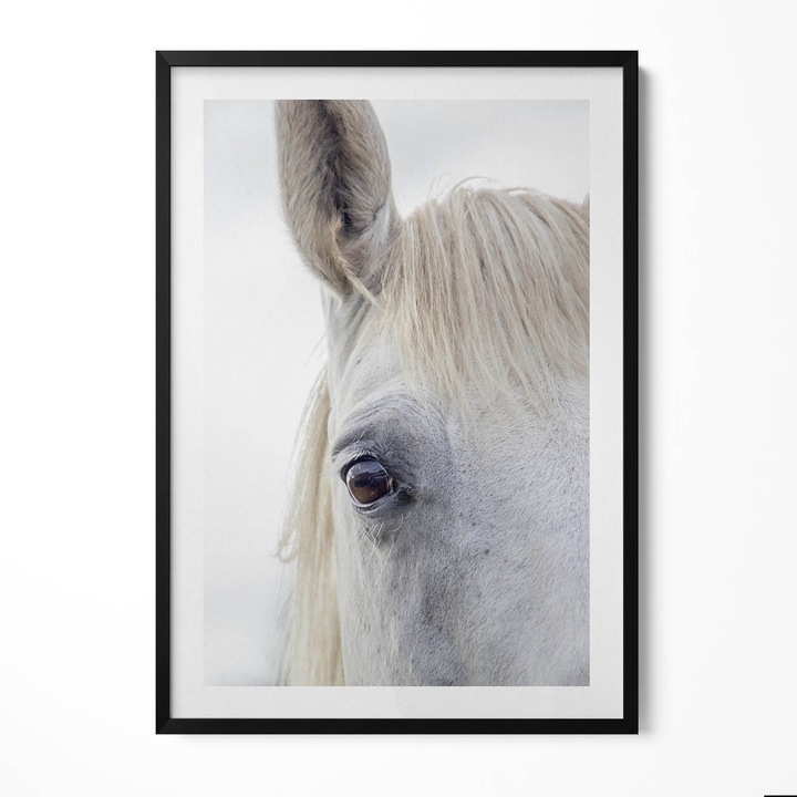 Tablou Inramat, Wallfluent, Capul unui cal alb, Rama negru, 70x100 cm, 010330010150200281266