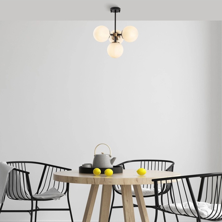 Полилей Akkas 10066 Многоцветен