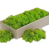 Licheni stabilizati ARTFLORA Lime Green cutie 500g