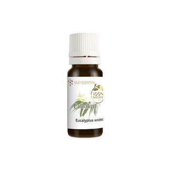 Ulei esential natural de eucalipt (smithii), FlorEsential, 10ml Ulei esential natural de eucalipt (smithii), FlorEsential, 10ml