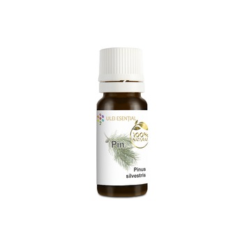Ulei esential natural de pin, FlorEsential, 10ml Ulei esential natural de pin, FlorEsential, 10ml