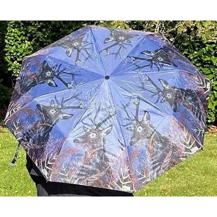 Чадър Елен Алекс Кларк, цветен, сгъваем, размери 1100мм x 550мм, с калъф за съхранение