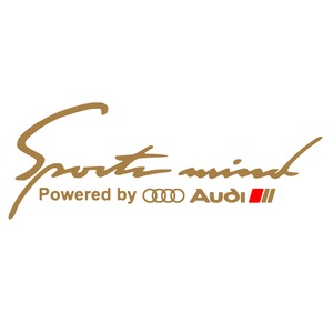 Accesorii auto tuning