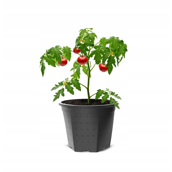 Ghiveci DK 7,5L, rezistent la conditii meteorologice, cu orificii laterale, pentru plante de gradina