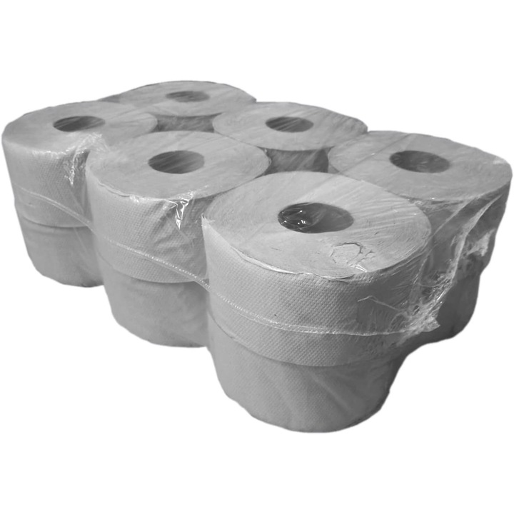 Set 12 bucati Hartie igienica, Netuno, BIG ROLA, 2 straturi, Gri