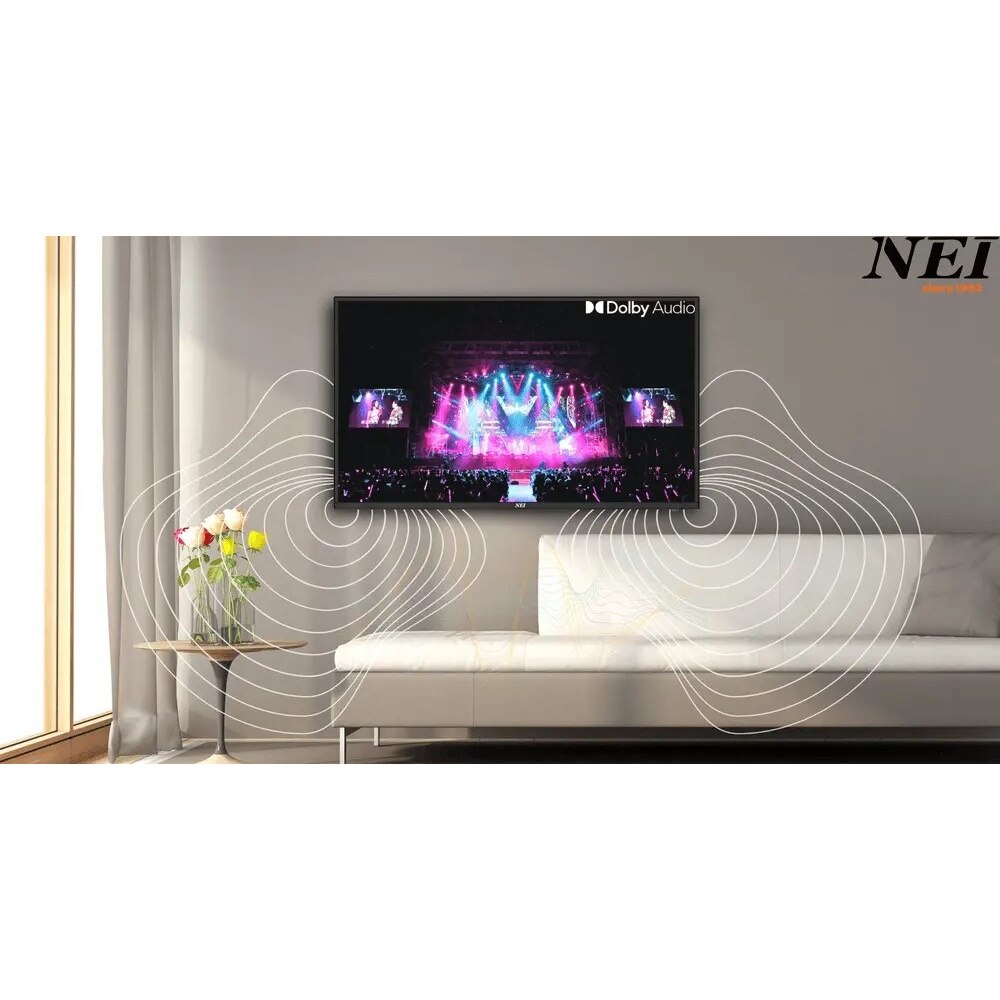 ✨美品✨テレビ Televizor LED NEI 24NE4900, 60 cm, Wi-Fi, HD, Smart, VIDAA, Clasa