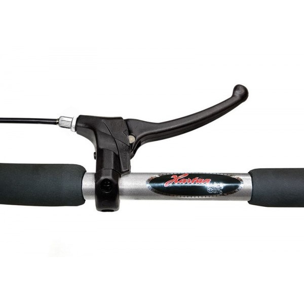 Carucior pentru gemeni Hartan ZX II cu portbebe soft (831) - eMAG.ro