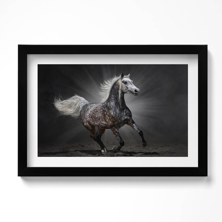 Tablou Inramat, Wallfluent, Cal in galop, Rama negru, 30x20 cm, 010330010100200280197