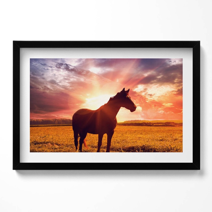 Tablou Inramat, Wallfluent, Cal in camp la apus, Rama negru, 60x40 cm, 010330010110200280002