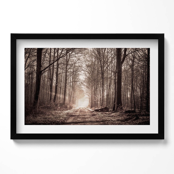 Tablou Inramat, Wallfluent, Calea padurii in culori sepia, Rama negru, 60x40 cm, 010330010110200280170