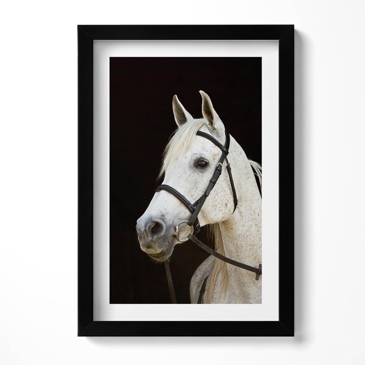 Tablou Inramat, Wallfluent, Cal alb de calar, Rama negru, 20x30 cm, 010330010010200279978