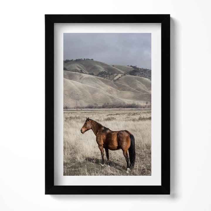 Tablou Inramat, Wallfluent, Cal de calarie printre iarba, Rama negru, 20x30 cm, 010330010010200280499