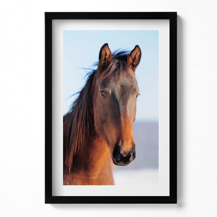 Tablou Inramat, Wallfluent, Cap de cal maro, Rama negru, 40x60 cm, 010330010080200280043