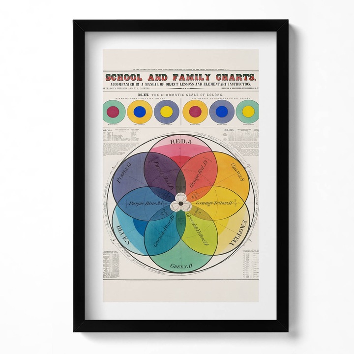 Tablou Inramat, Wallfluent, Poster vintage cu teoria culorilor, Rama negru, 40x60 cm, 010330010080200281308