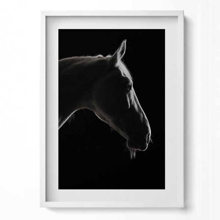 Tablou Inramat, Wallfluent, Cap de cal pe un fundal negru, Rama alba, 50x70 cm, 010330010160100280000