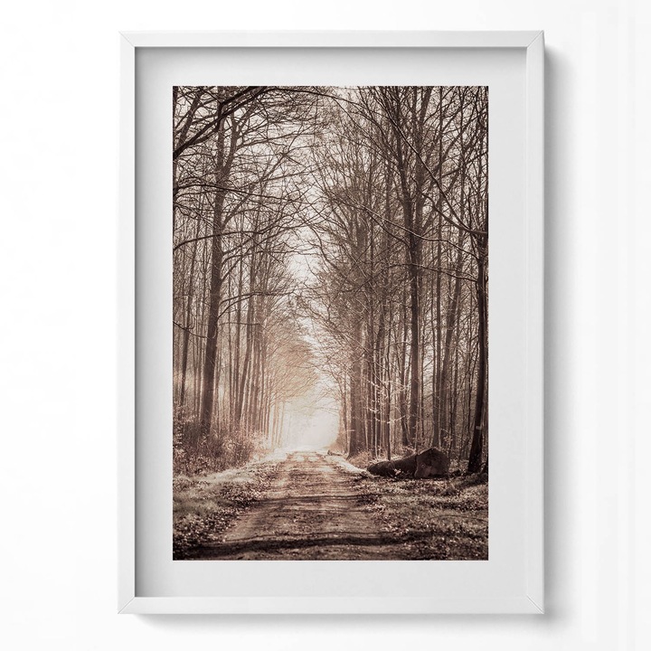 Tablou Inramat, Wallfluent, Calea padurii in culori sepia, Rama alba, 50x70 cm, 010330010160100280170