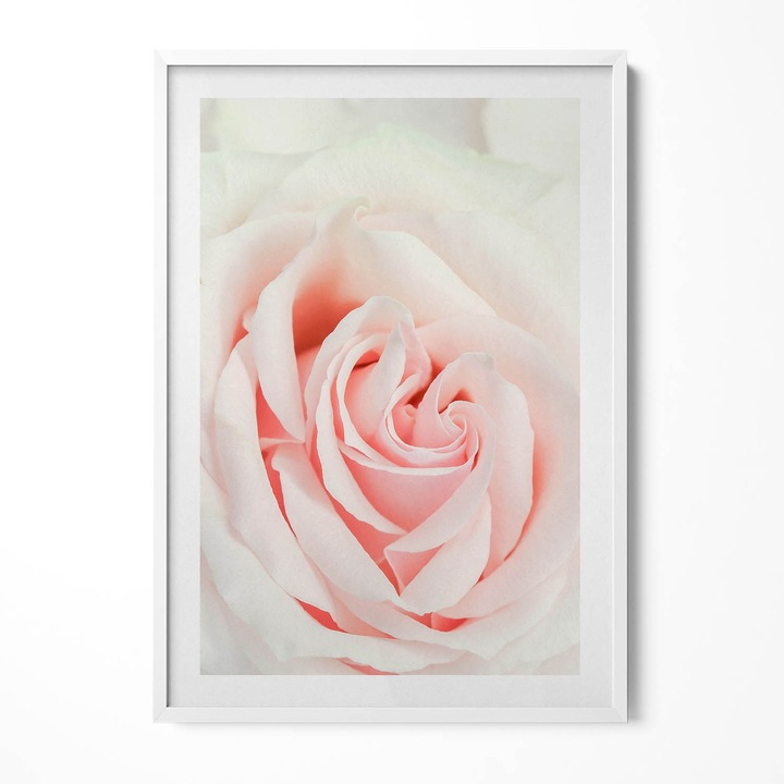 Tablou Inramat, Wallfluent, Prim-plan cu petale de trandafir, Rama alba, 70x100 cm, 010330010150100280698