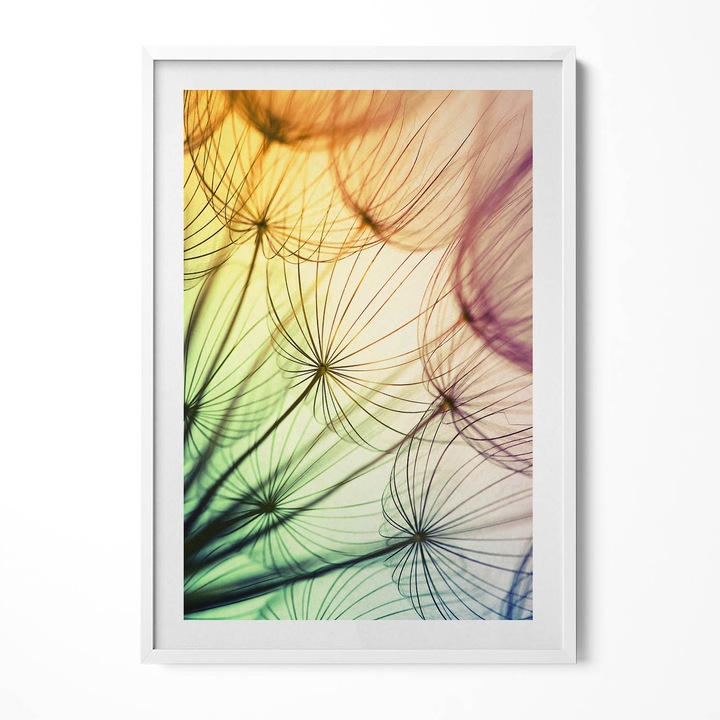 Tablou Inramat, Wallfluent, Polen delicat de papadie, Rama alba, 70x100 cm, 010330010150100280906